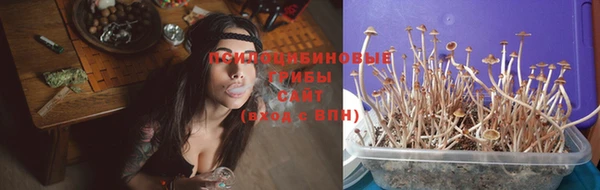 не бодяженный Армянск