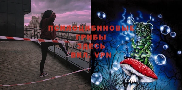 не бодяженный Армянск