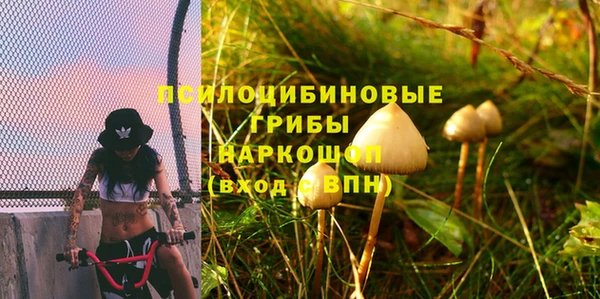 мет Арсеньев