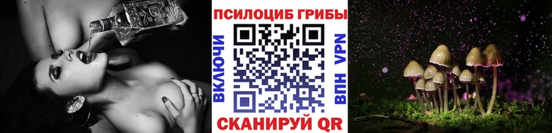 Галлюциногенные грибы Psilocybe  продажа наркотиков  блэк спрут сайт  Михайловск 